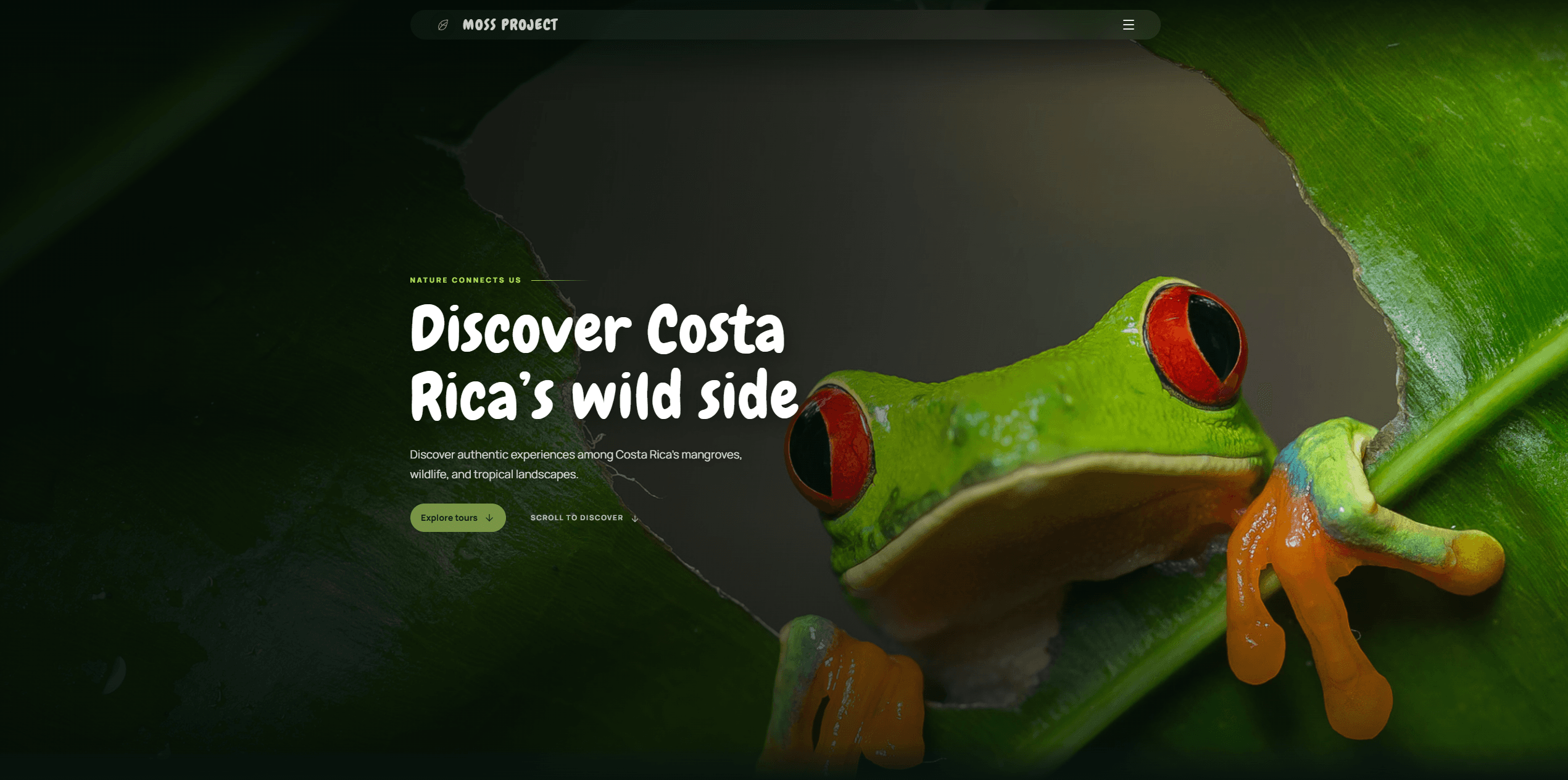 Moss Project tourism website homepage featuring a Costa Rican tree frog